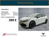 Cupra Born Kreis|Wunsiedel i.Fichtelgebirge