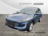 Ford Kuga Münster-Sarmsheim