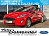Ford Fiesta birkweiler