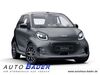 Smart ForTwo geisenfeld