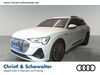 Audi e-tron tegernsee