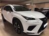 Lexus NX 300 Berg b