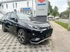 Suzuki Across dorn-duerkheim
