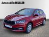Skoda Fabia kreis|suedliche-weinstrasse