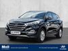 Hyundai TUCSON hoehr-grenzhausen