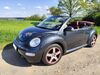 VW New Beetle deutschland