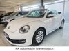 VW Beetle bergheim