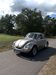 VW Käfer bolschwitz