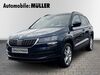 Skoda Karoq schoena-kolpien