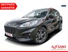 Ford Kuga wattmannshagen