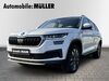 Skoda Kodiaq schmerkendorf