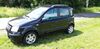 Fiat New Panda Büddenstedt