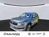 Skoda Kodiaq ober-hilbersheim