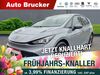 Cupra Born ruttersdorf-lotschen