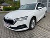Skoda Octavia kreis|suedliche-weinstrasse