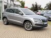 Skoda Karoq bueddenstedt