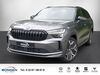 Skoda Kodiaq hoehr-grenzhausen