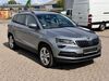 Skoda Karoq meinborn