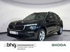 Skoda Kamiq grafenhausen