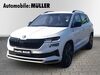 Skoda Karoq juetrichau
