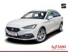 Seat Leon schwallungen