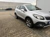 Opel Mokka X walhausen
