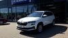 Skoda Karoq twistetal