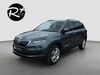 Skoda Karoq kreis|rheingau-taunus-kreis