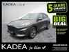 Ford Kuga saalow