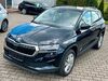 Skoda Karoq roehrig