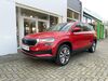Skoda Karoq Voerde (Niederrhein)