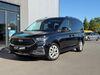 Ford Grand Tourneo Büddenstedt