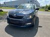 Skoda Fabia dankmarshausen