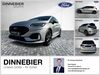 Ford Fiesta schoena-kolpien
