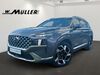 Hyundai SANTA FE kreis|suedliche-weinstrasse