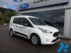 Ford Transit Connect grafenhausen