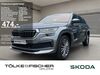 Skoda Kodiaq meinborn
