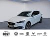 Seat Leon Röhrig