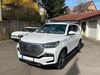 SsangYong REXTON aichtal
