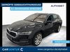 Skoda Octavia kreis|rheingau-taunus-kreis