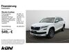 Skoda Kodiaq Röhrig