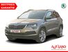 Skoda Karoq kreis|suedliche-weinstrasse