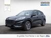 Ford Kuga bueddenstedt