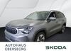 Skoda Kodiaq kuehbach