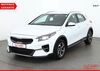 Kia XCeed ruttersdorf-lotschen