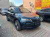 Skoda Karoq dorn-duerkheim
