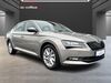 Skoda Superb fredersdorf-vogelsdorf