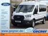 Ford Transit schmerkendorf