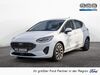 Ford Fiesta Büddenstedt