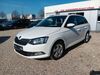 Skoda Fabia juetrichau